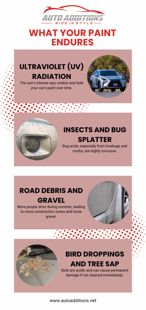 Summer Hazards Are Tougher on Your Paint Than You Think